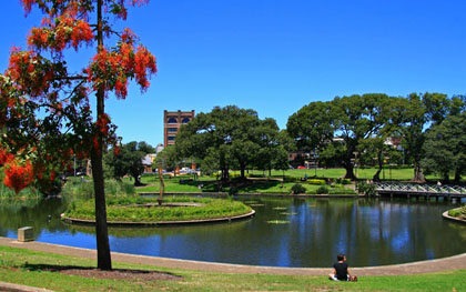 悉尼大学